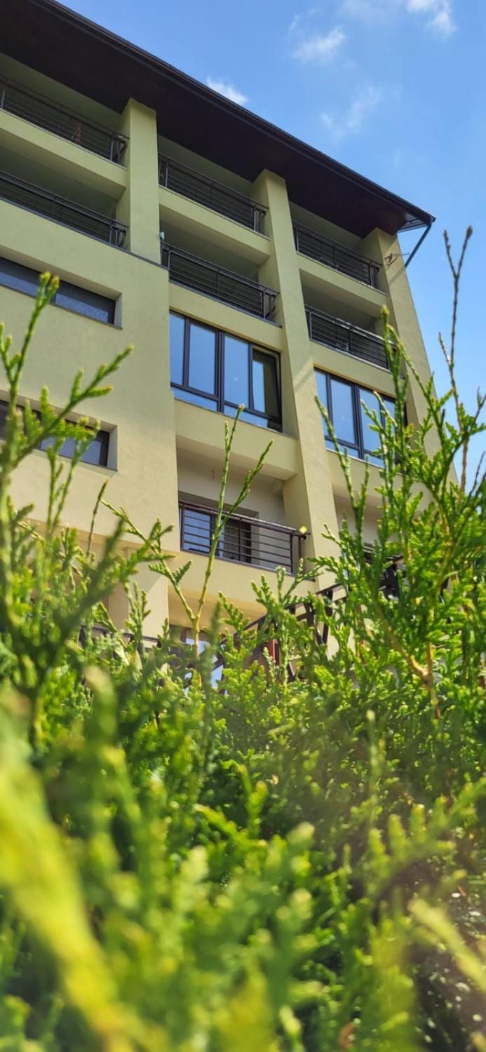 Pension Valea Mariei Bed and Breakfast in Romania