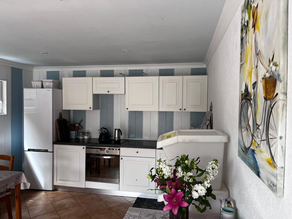 Communal kitchen, microwave, oven, stove, kitchen