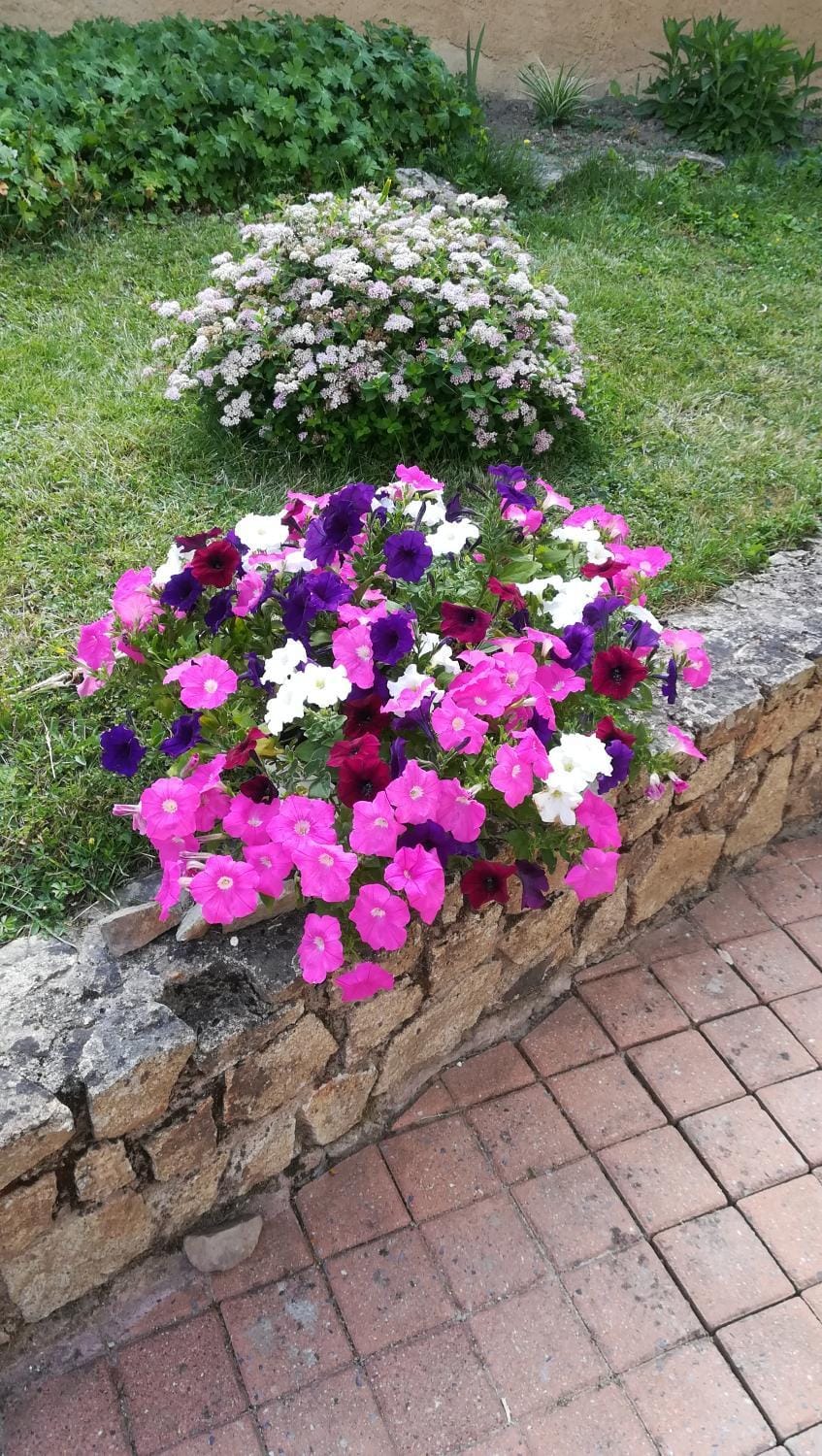 Chambres des Noels Bed and Breakfast in Pays de la Loire