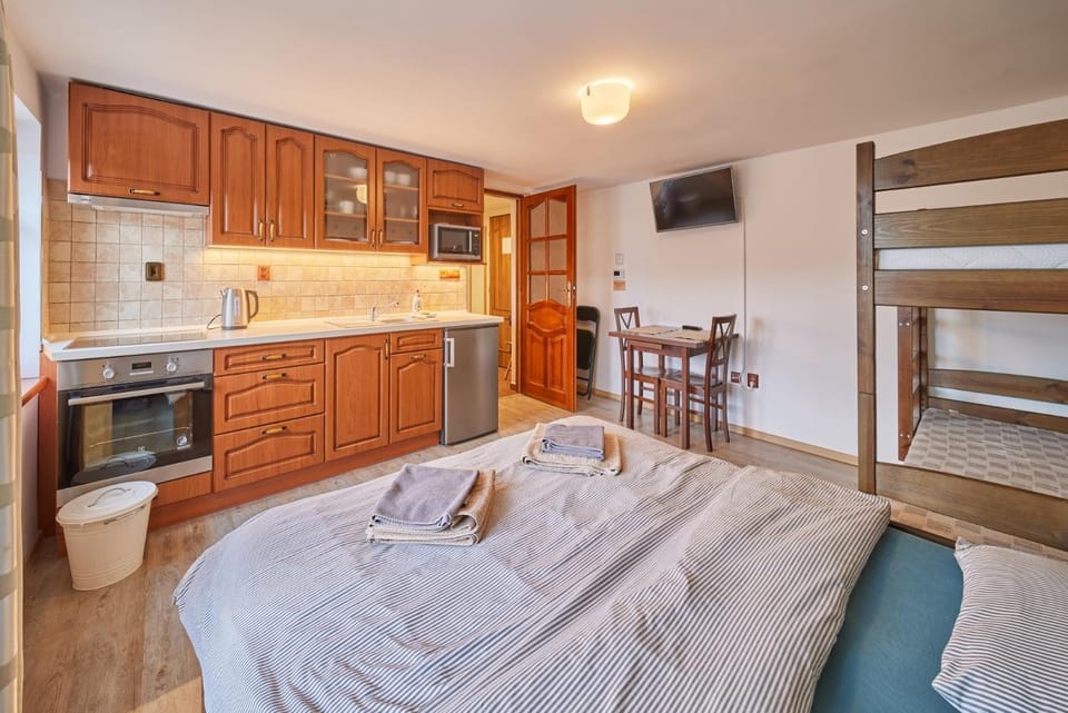 Bed, TV and multimedia, Kitchen or kitchenette, Photo of the whole room, Seating area, Bedroom, oven, towels