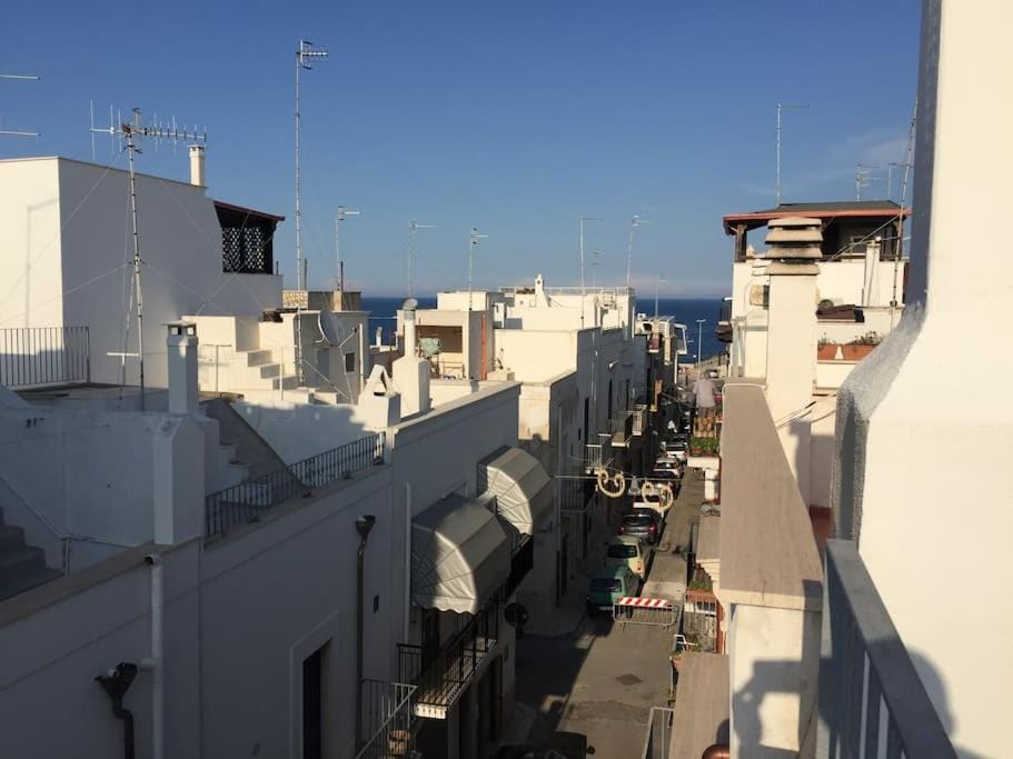 Property building, Day, Neighbourhood, City view, Sea view, Street view, Location
