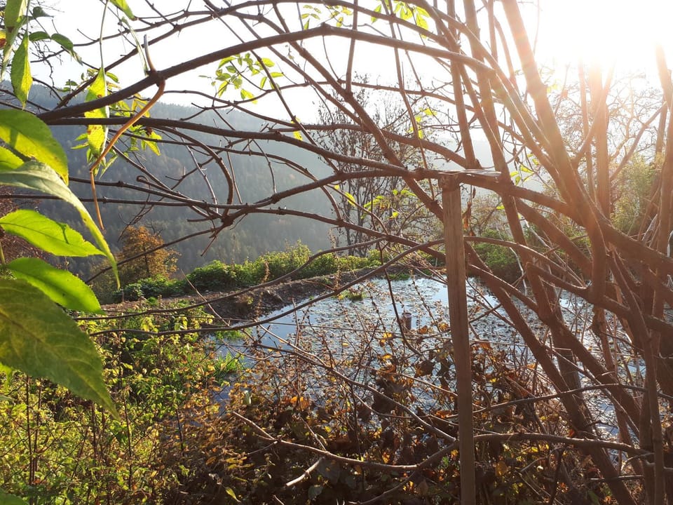 River view