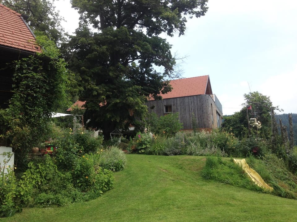 Inner courtyard view
