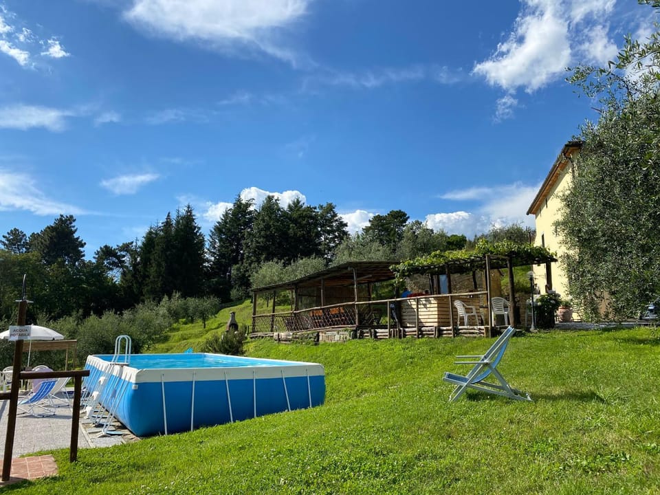Swimming pool, Swimming pool