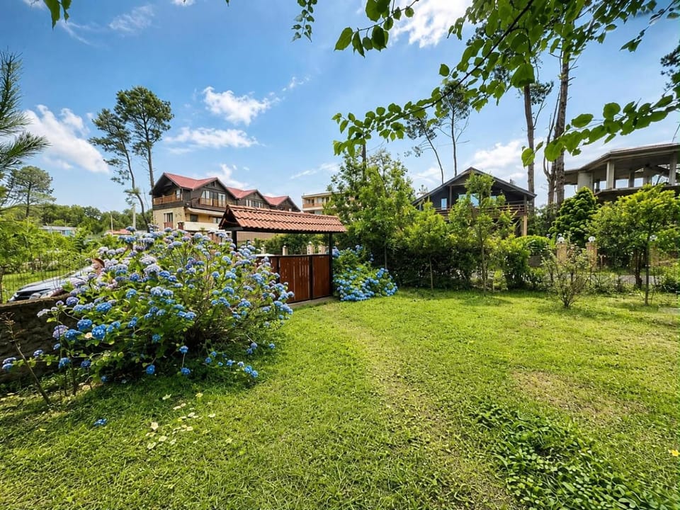 Shekvetili Beach House Villa in Georgia