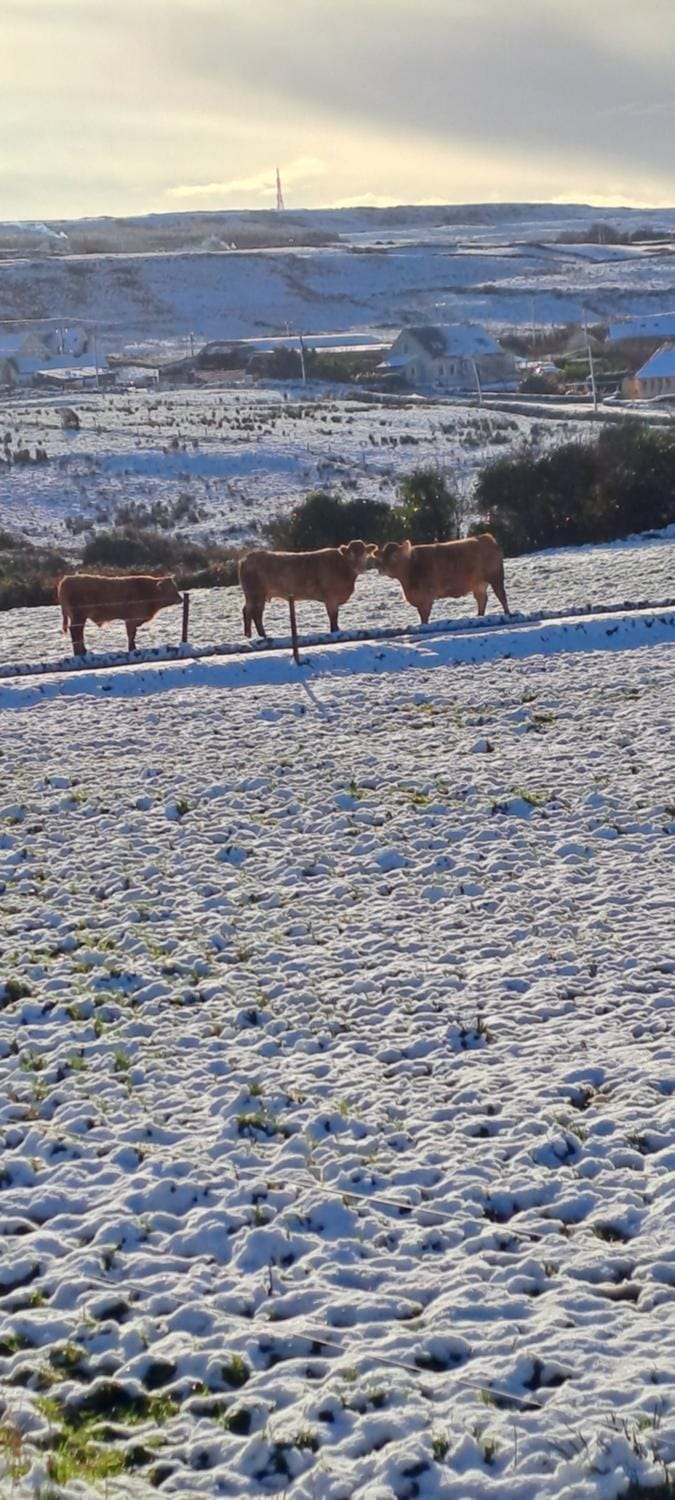 Doolin Farm Apartment Apartment in County Clare