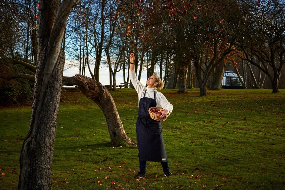 Garden, Autumn, Area and facilities, Seasons