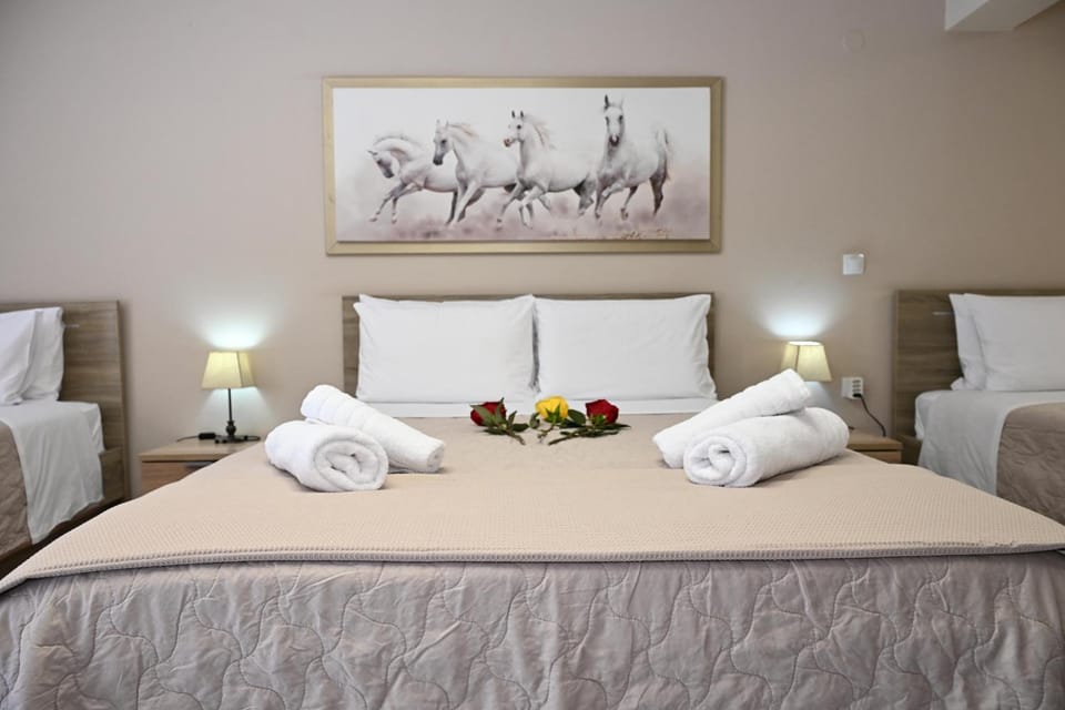 Hotel Vasilis Nafplio Hotel in Nafplion
