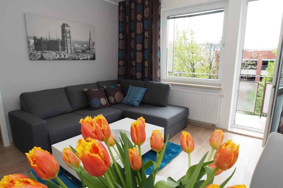 Balcony/Terrace, Seating area