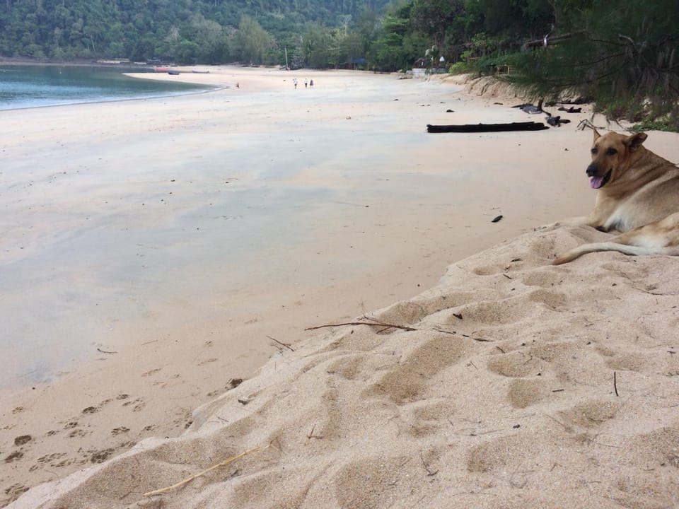 Starlight Beach Resort Vacation rental in Ko Phayam