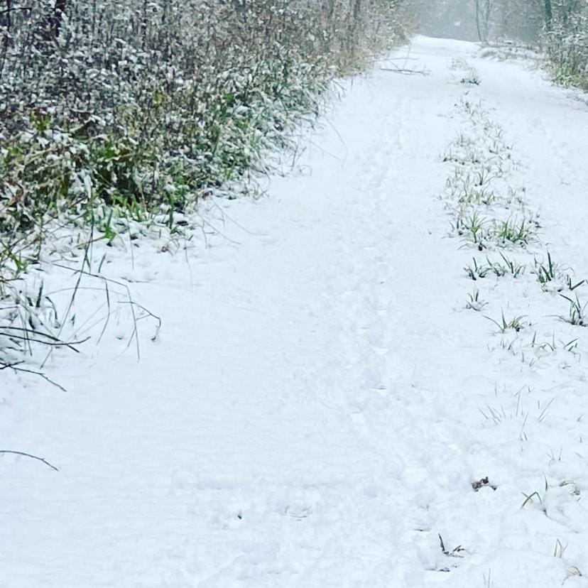 Woodland Lodge Bed and Breakfast in East Hertfordshire District