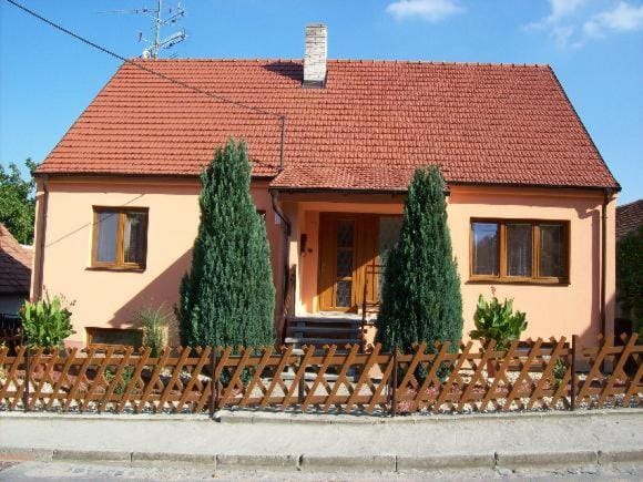 Ubytovani u Lysonku Apartment in South Moravian Region