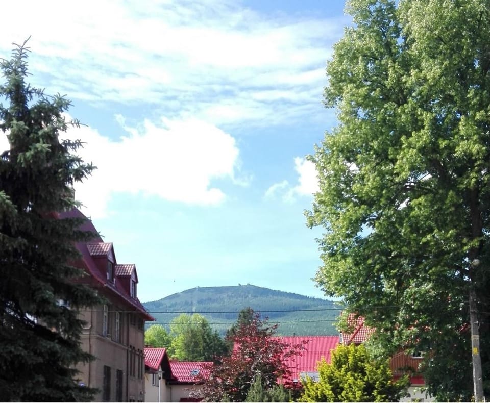 Mountain view