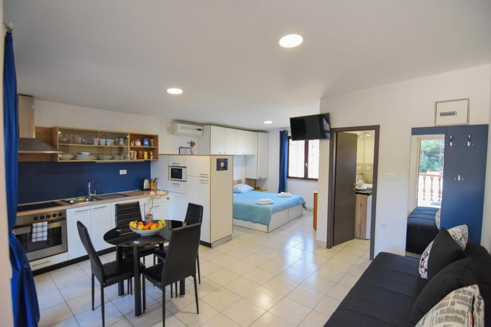 Bed, TV and multimedia, Kitchen or kitchenette, Living room, Seating area, Dining area, Bedroom