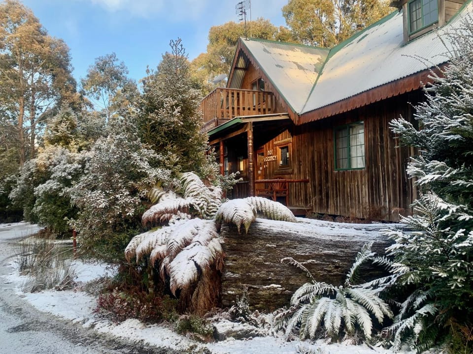 Property building, Winter, Lobby or reception