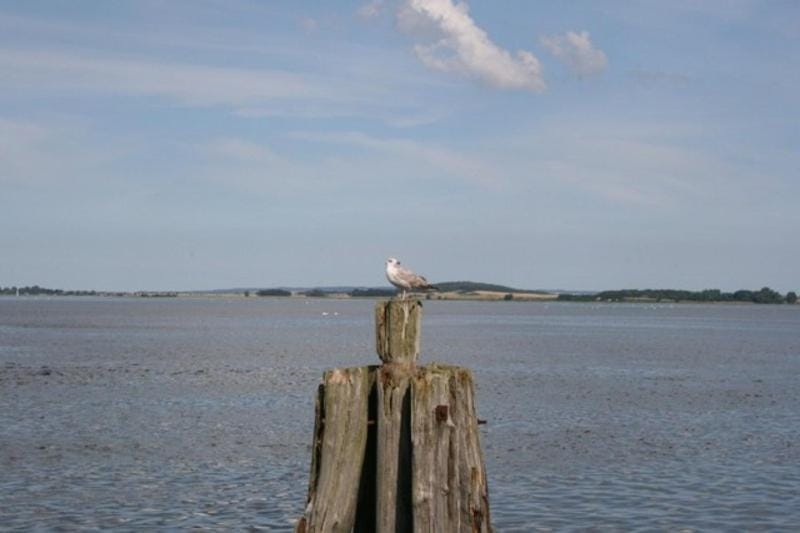 Natural landscape