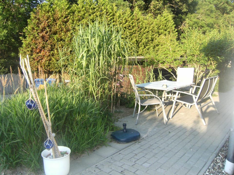 Gemütliche Fewo Sonnenuntergang WE52433 Apartment in Mecklenburg-Vorpommern, Germany
