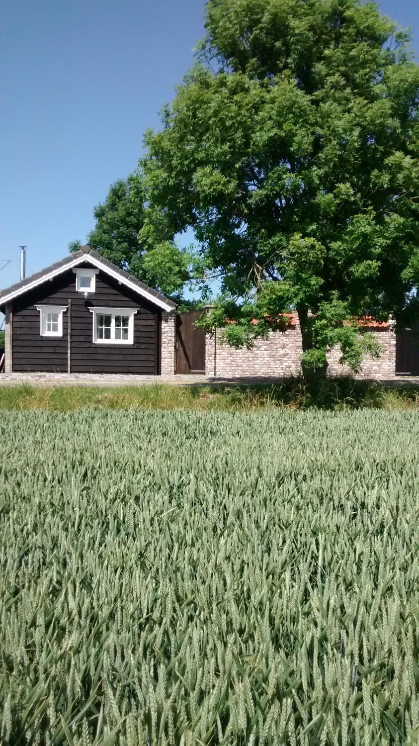 Dijkwoning Cadzand House in Zeeland, Netherlands