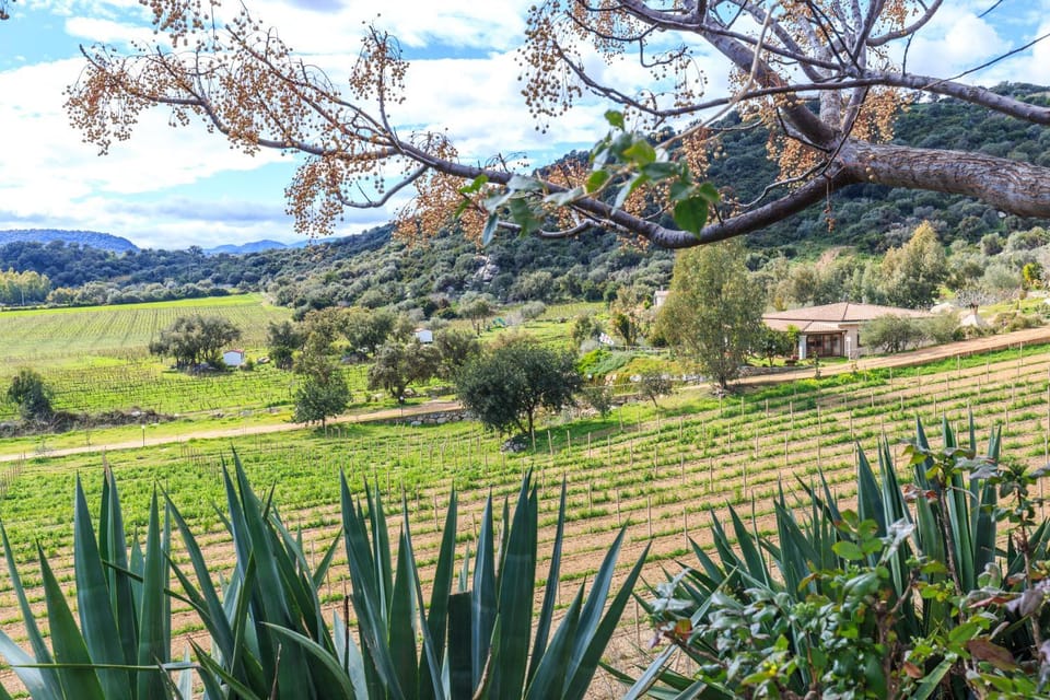Agriturismo Su Solianu Farm Stay in Sardinia