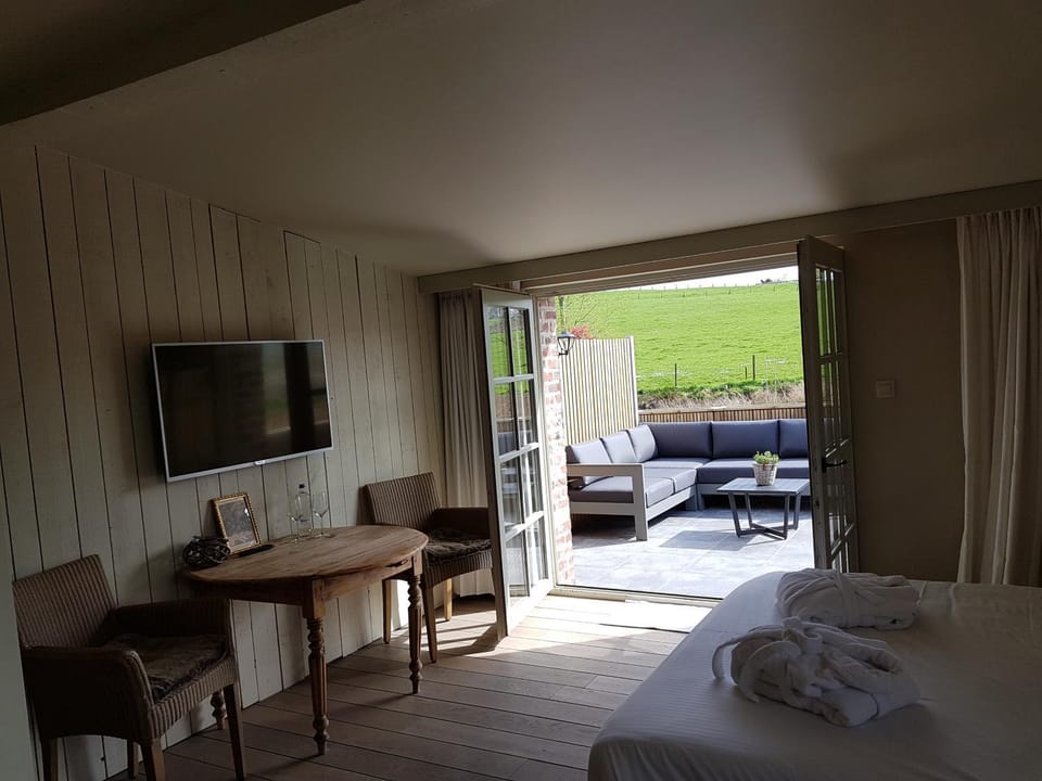 Bed, TV and multimedia, View (from property/room), Balcony/Terrace, Seating area