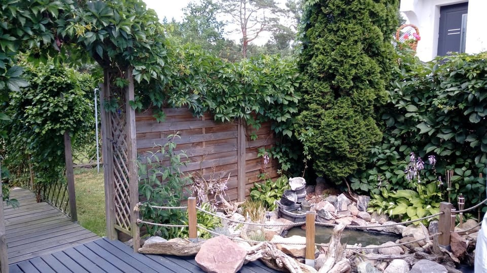 Garden, Seating area, Garden view