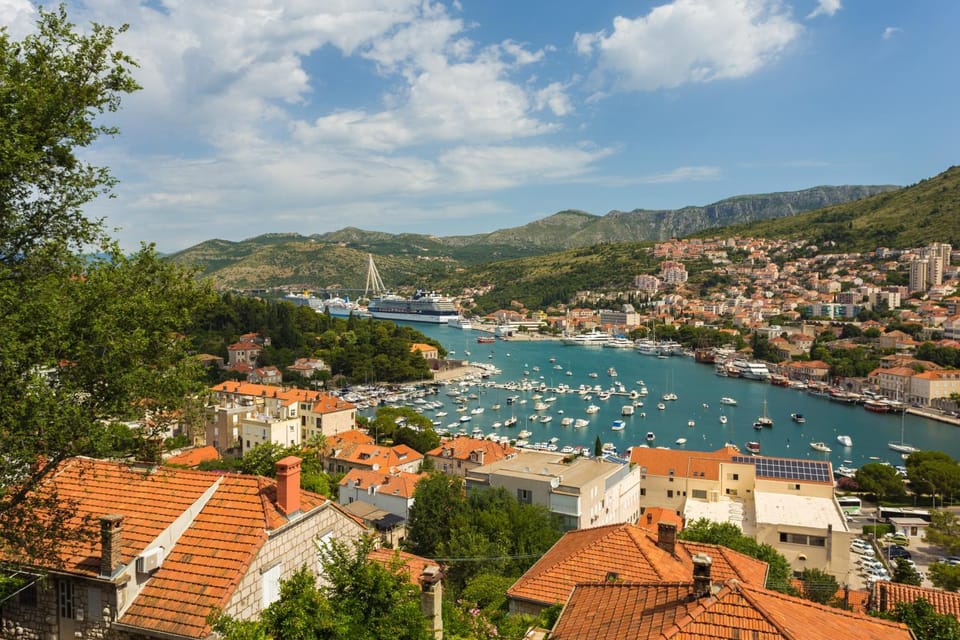 View (from property/room), Garden view