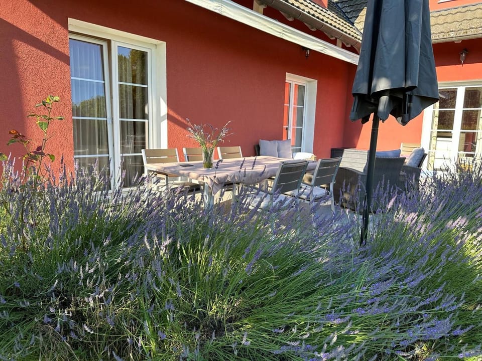 Patio, Garden view