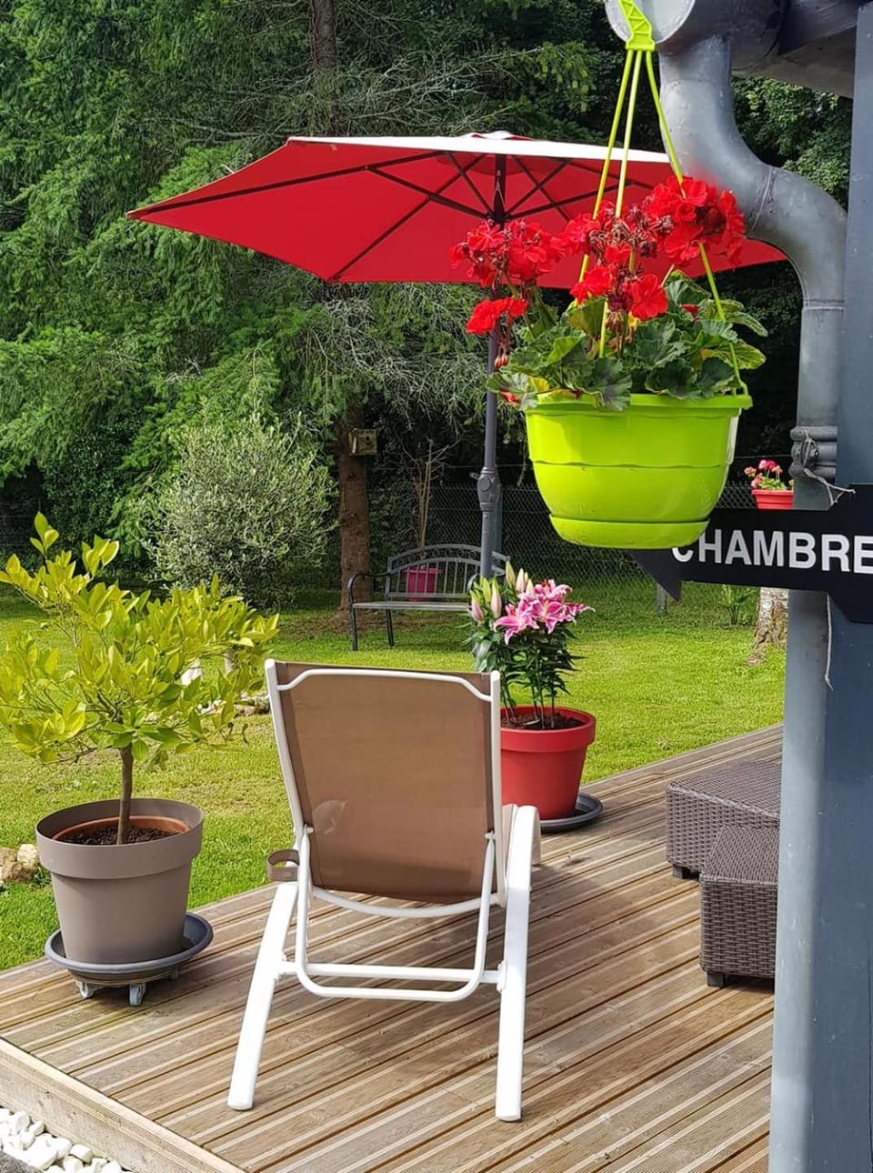 Patio, Garden view
