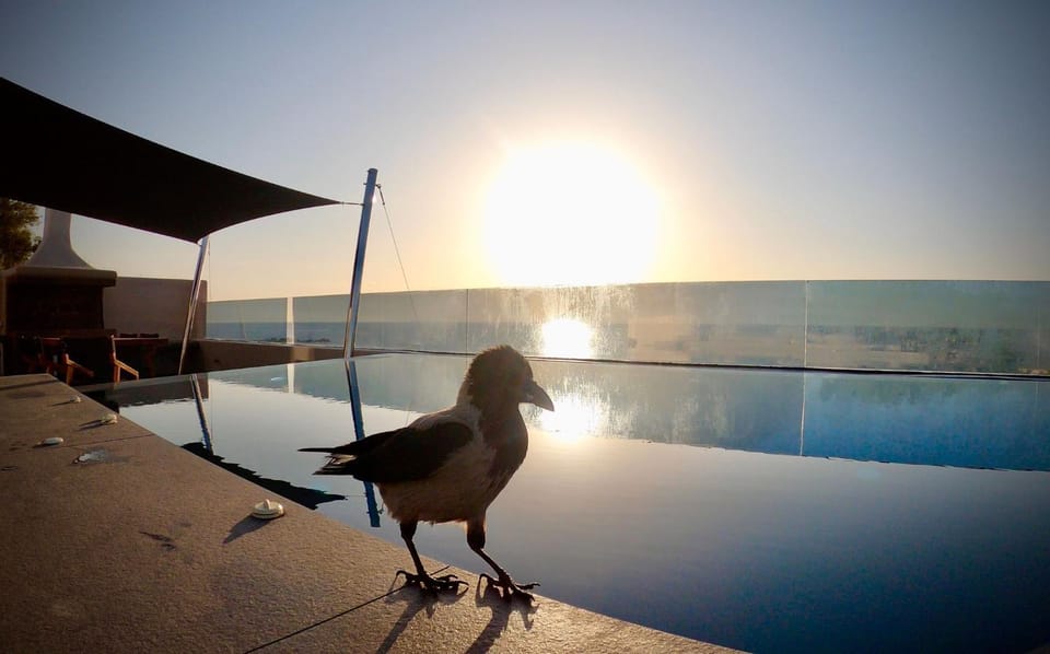 Swimming pool, Sunrise