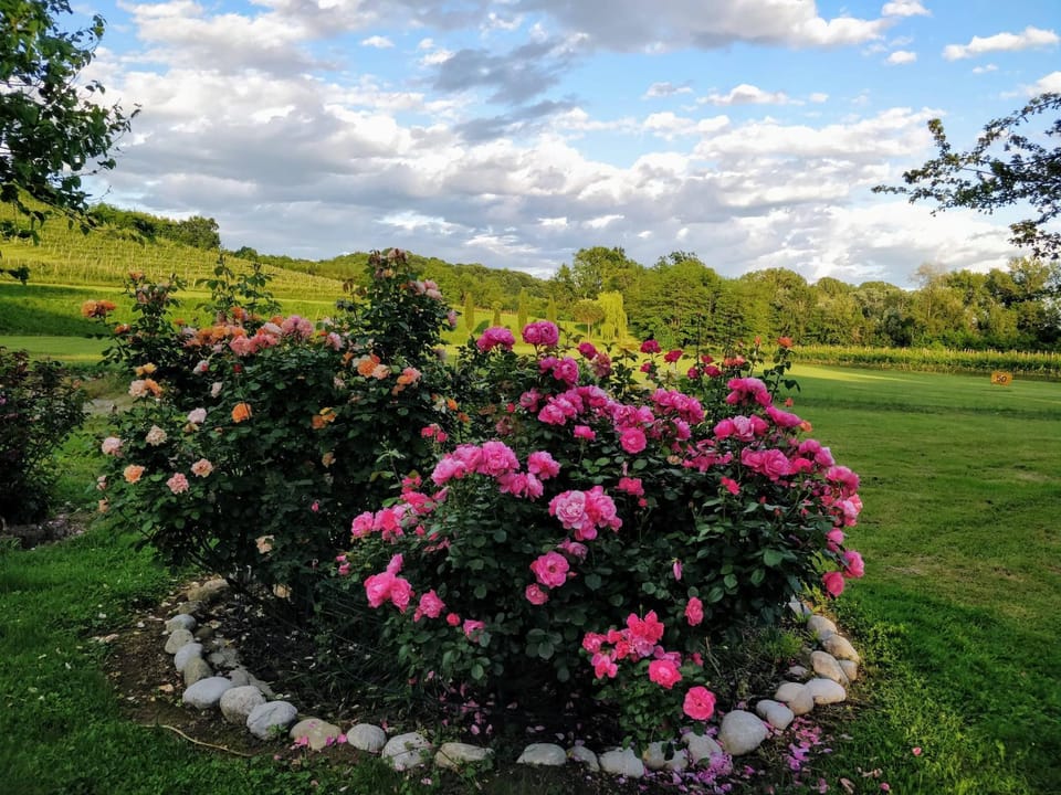 Garden view, Garden view