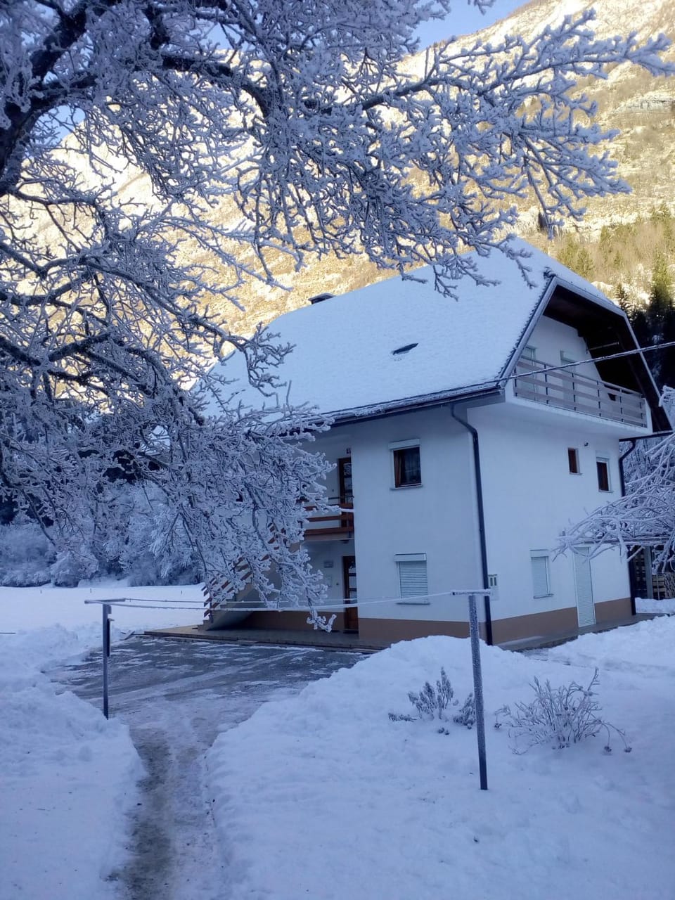 Property building, Natural landscape, Winter