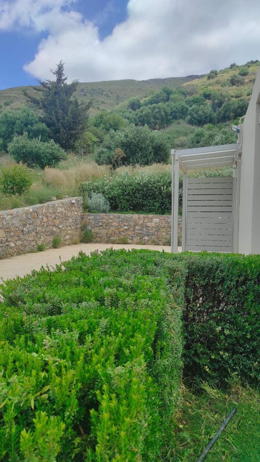Natural landscape, Garden, Garden view, Mountain view