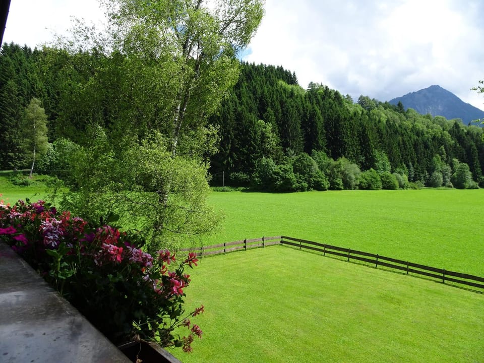 Garden, Garden view, Mountain view