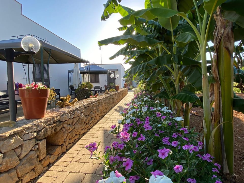 Property building, Patio, Facade/entrance, Garden