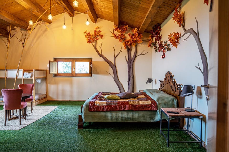 Photo of the whole room