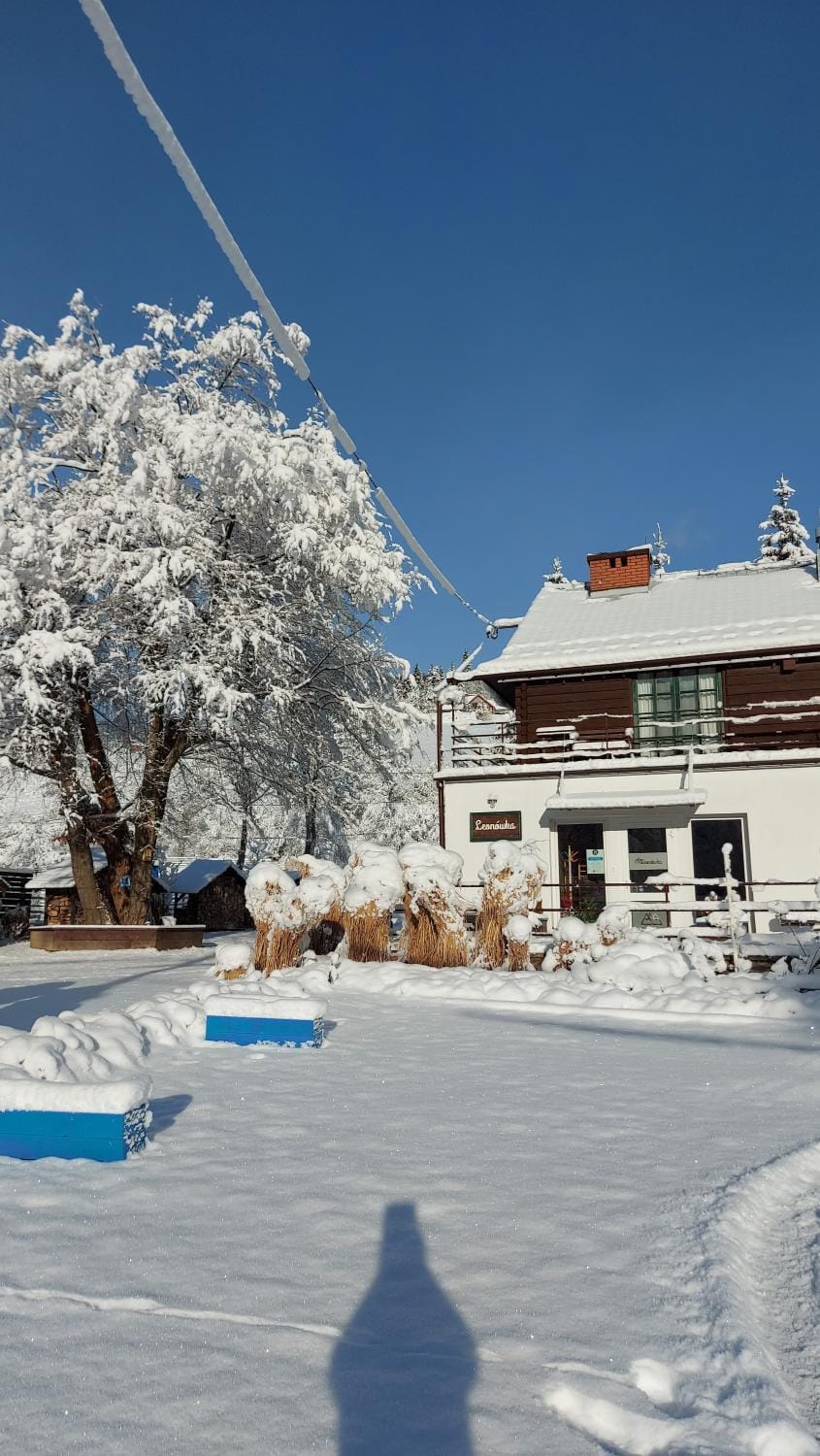 Property building, Day, Winter