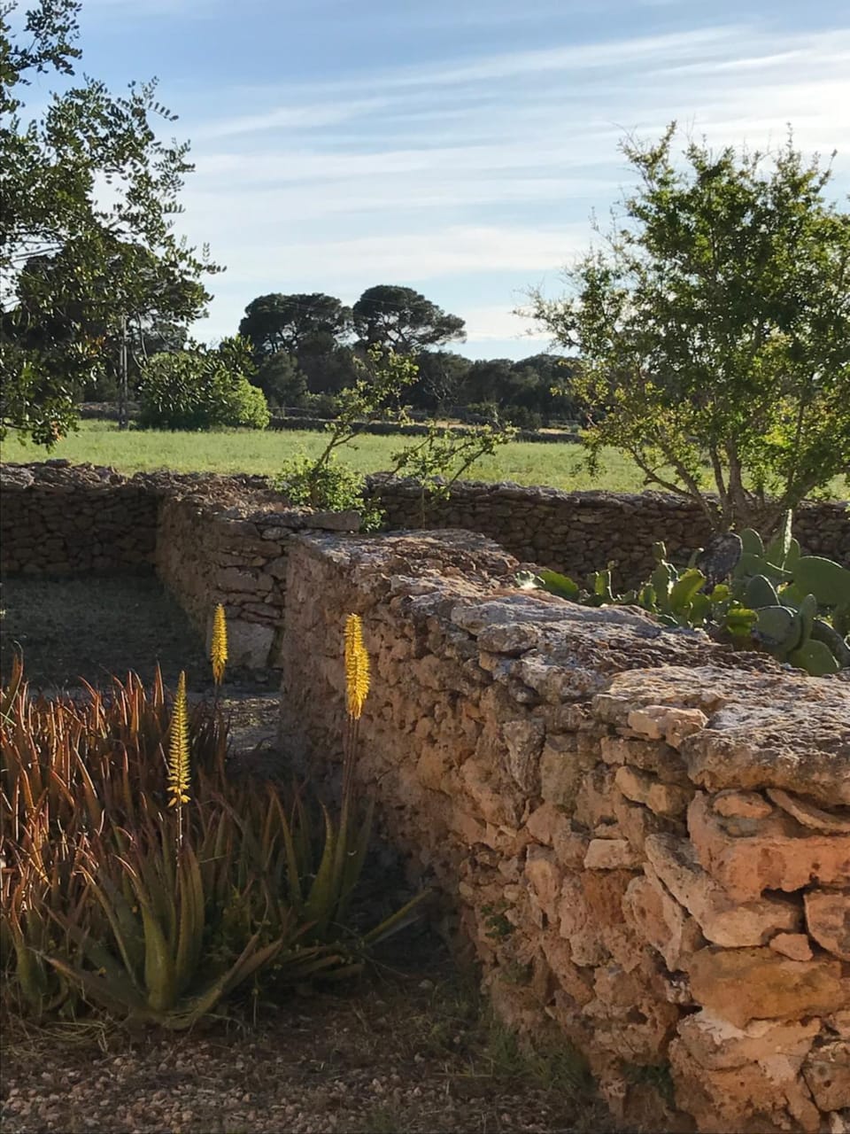 Garden, Garden view