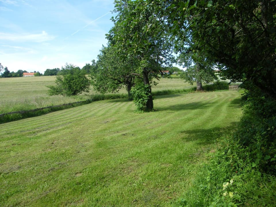 Day, Natural landscape, Garden, Garden view