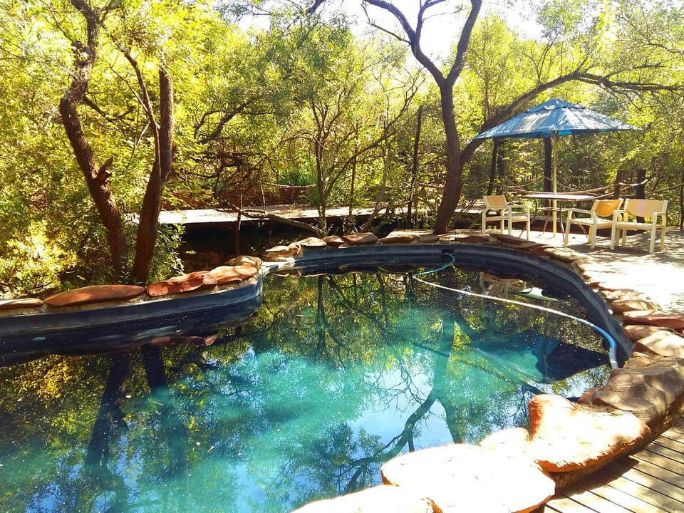 Spring, Day, Natural landscape, Garden, View (from property/room), Garden view, Pool view, Swimming pool, Sports, sunbed