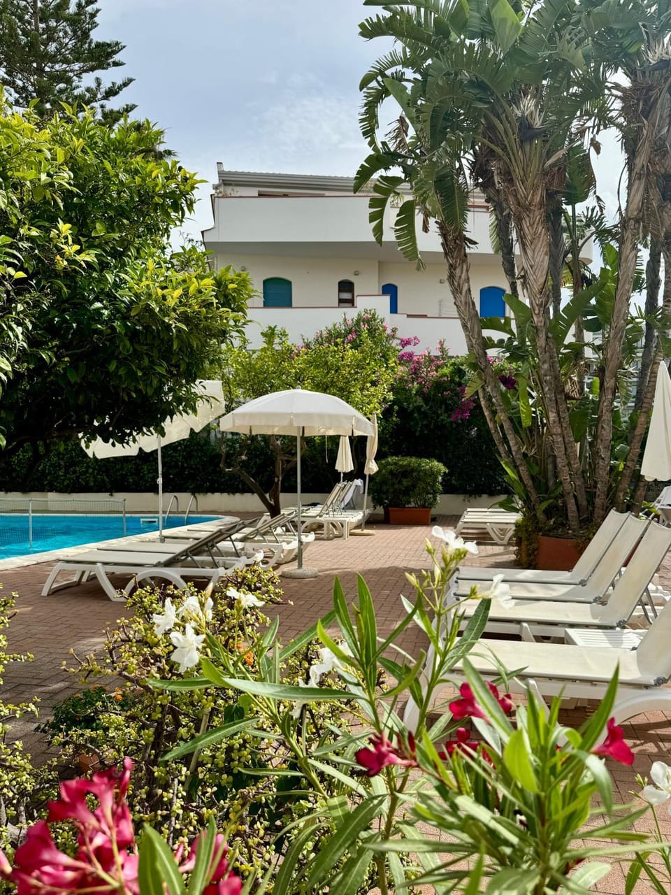 Garden, Swimming pool