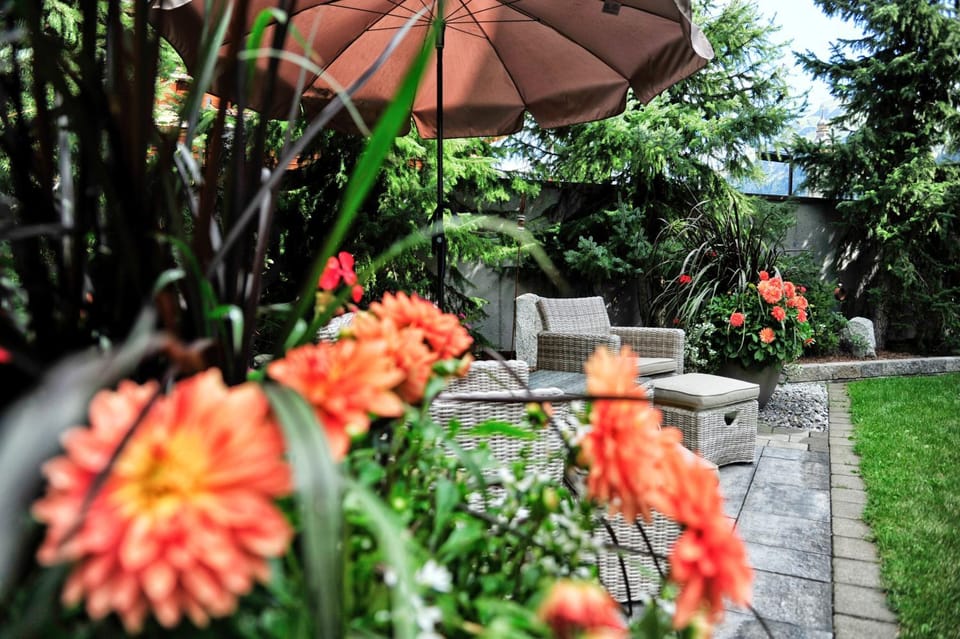 Garden view