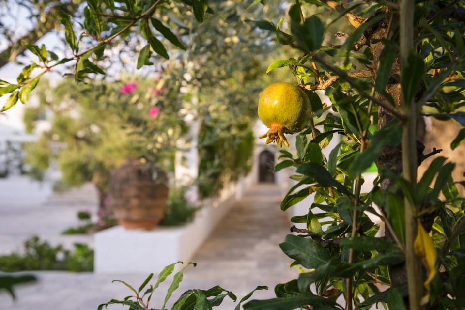 Garden, Decorative detail, Garden view