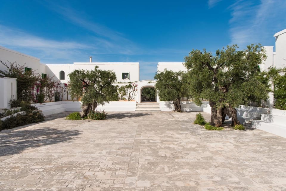 Property building, Patio, Facade/entrance, Garden