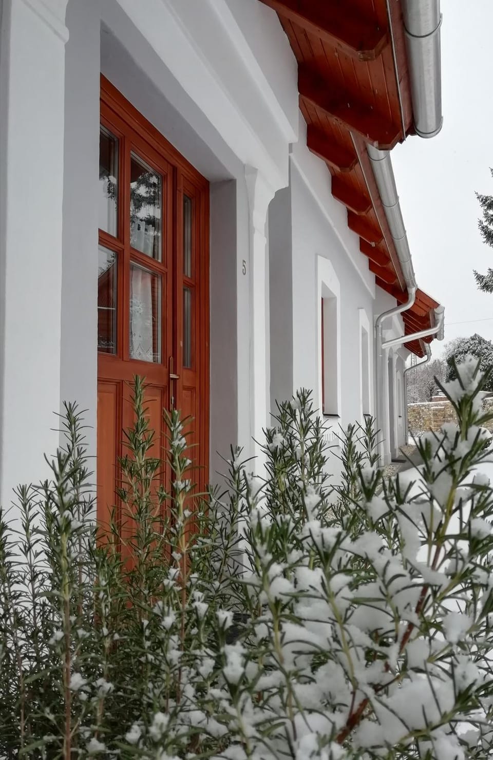 Property building, Facade/entrance, Winter, Garden