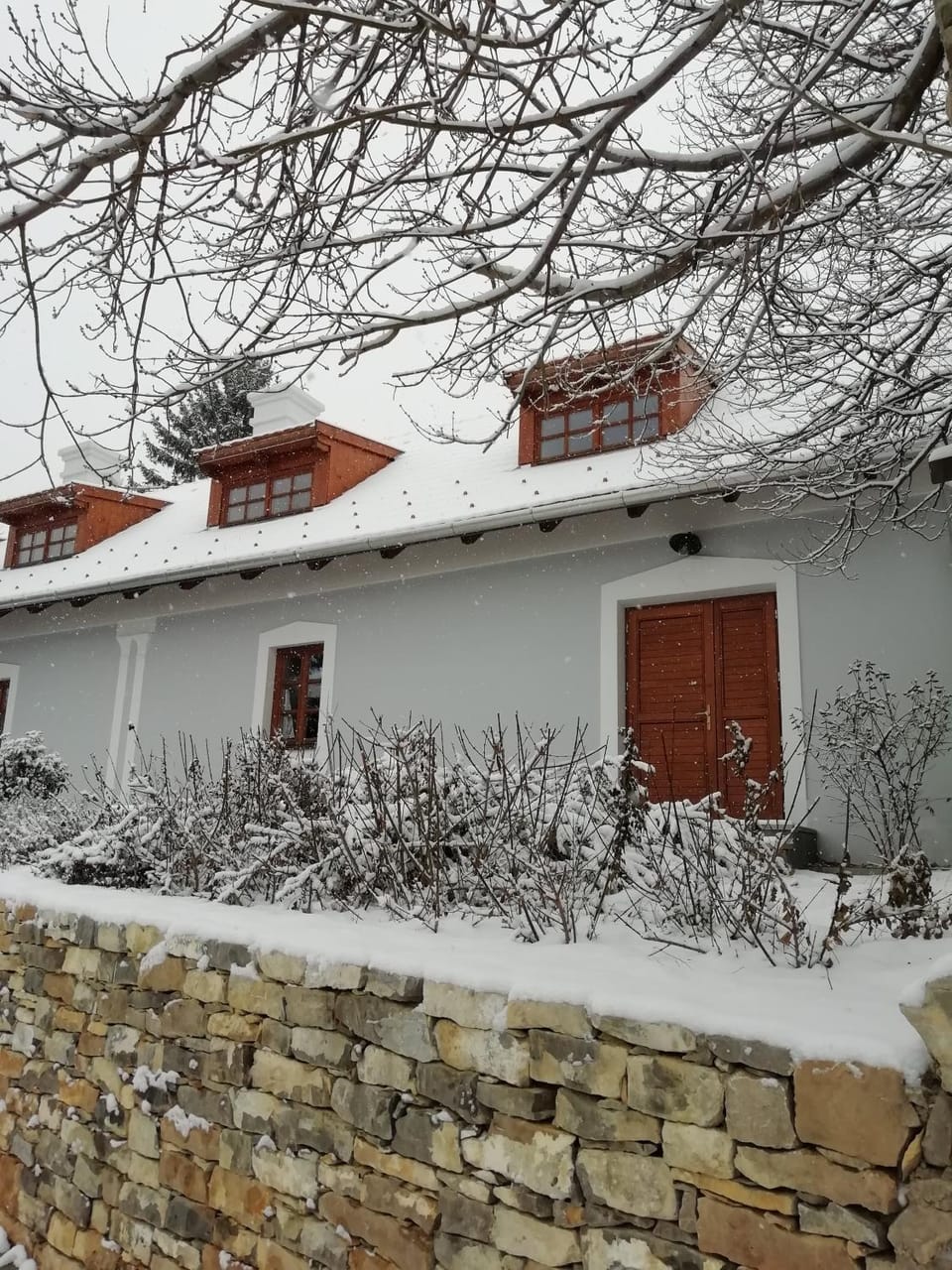 Property building, Winter