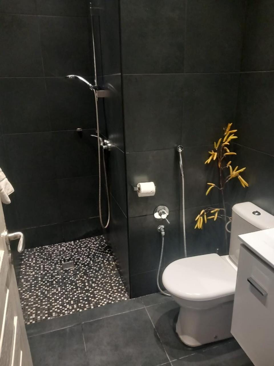 Shower, Toilet
