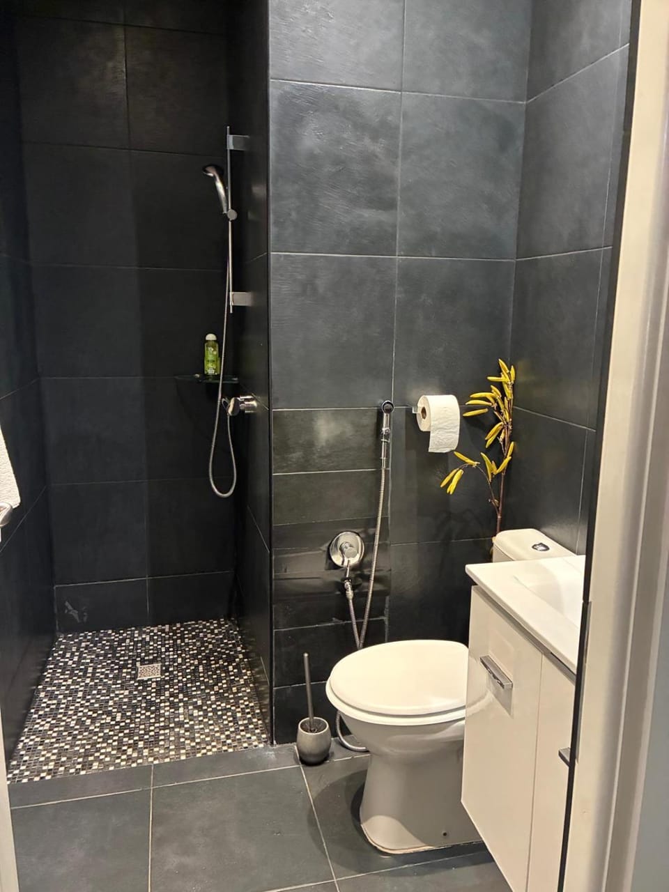 Studio 11 near Monaco Vacation rental in French Riviera