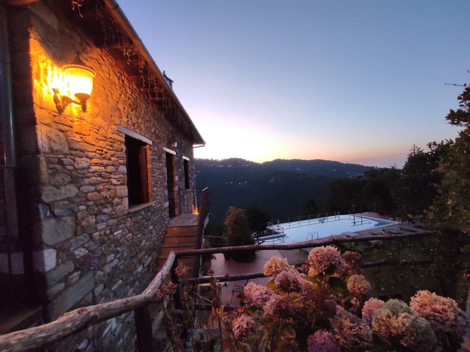 Garden, Swimming pool, Sunset