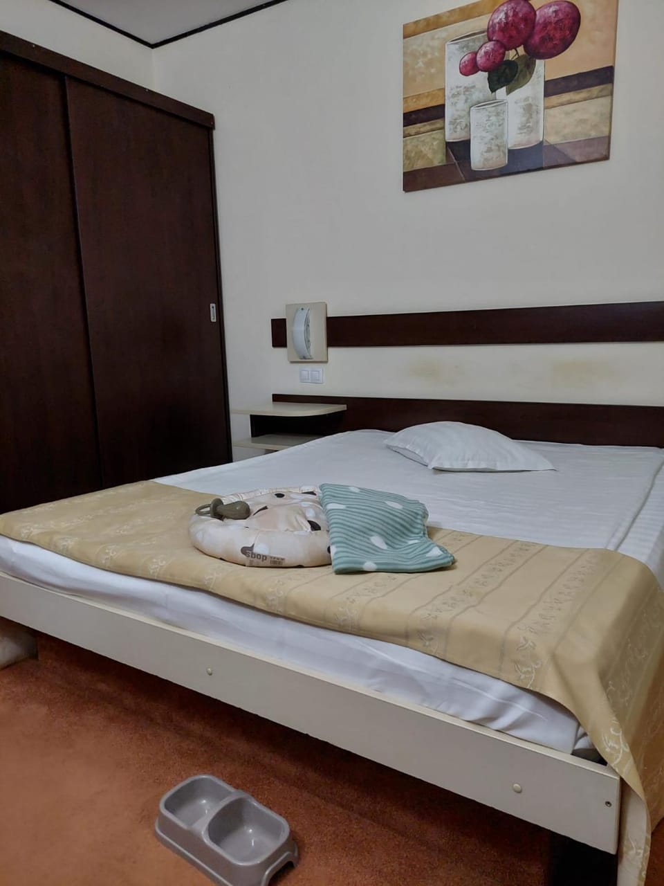 Bed