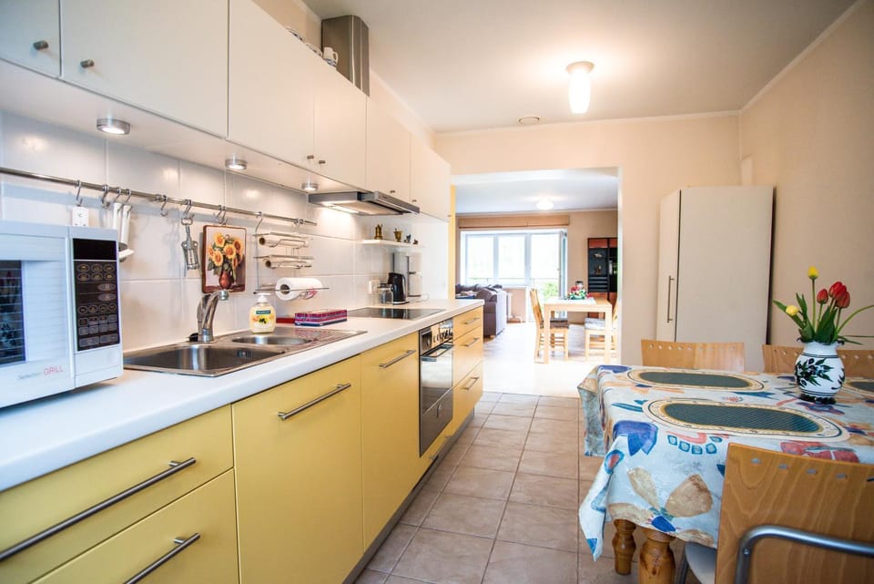Kitchen or kitchenette, Dining area, oven, stove